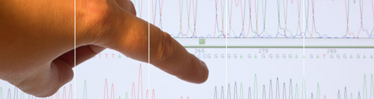 Conserva il profilo del DNA per uso futuro.