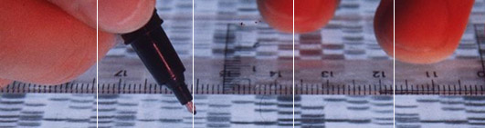 Informazioni utili per comprare un esame del DNA.